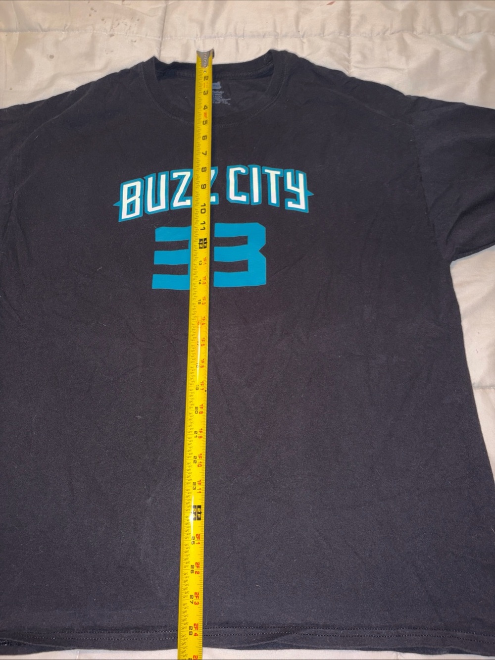 Vintage Charlotte Hornets “Buzz City” Alonzo Morning Shirt XL